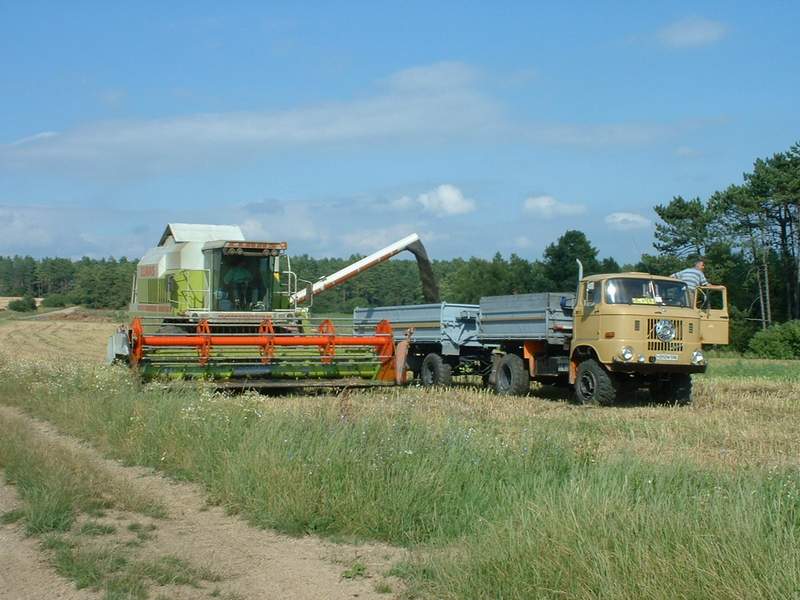 bilder/6_6_2011/CIMG2372.jpg