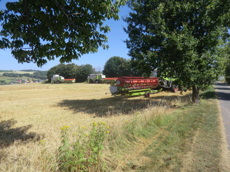 CIMG8370.jpg