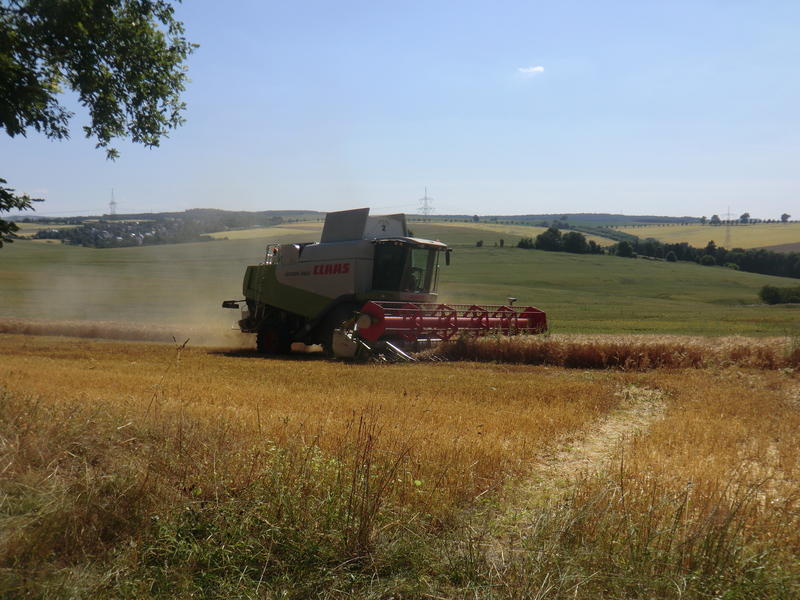 CIMG8385.jpg