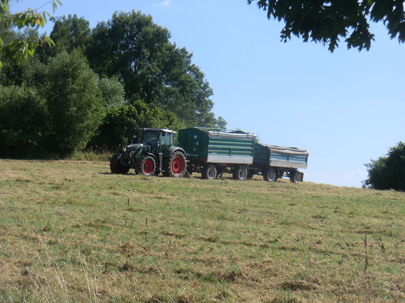 CIMG8396.jpg