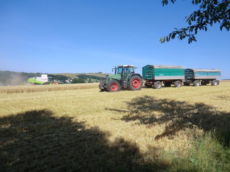 CIMG8408.jpg
