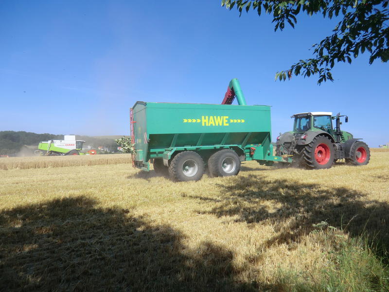 CIMG8410.jpg