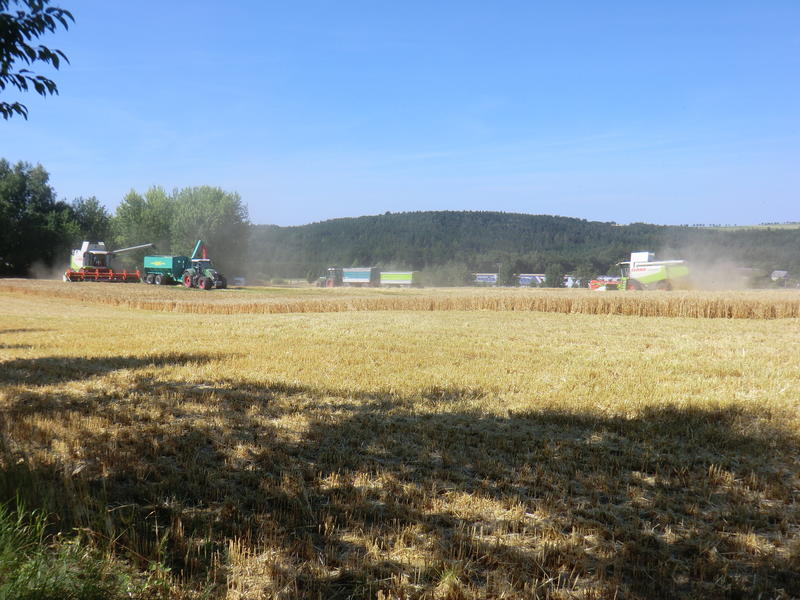 CIMG8417.jpg