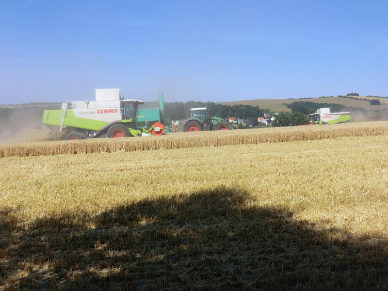 CIMG8420.jpg
