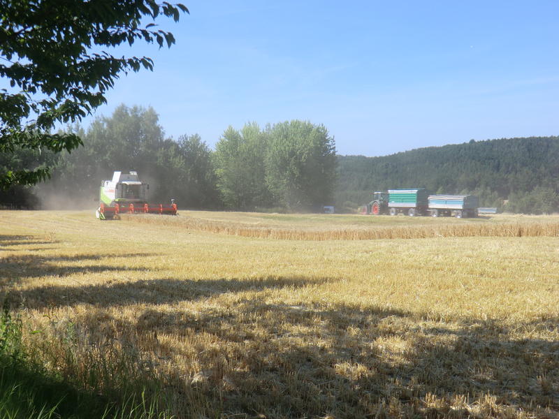 CIMG8425.jpg