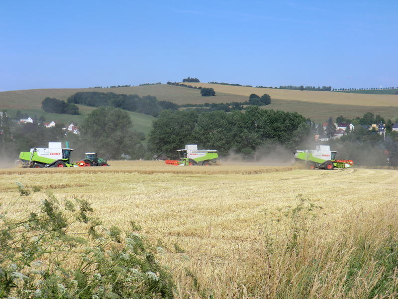 CIMG8435.jpg