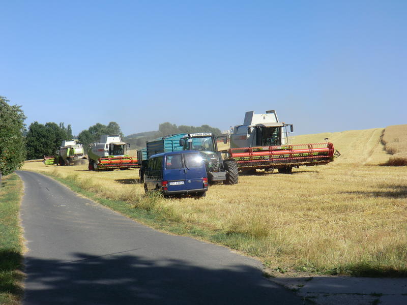 CIMG8439.jpg