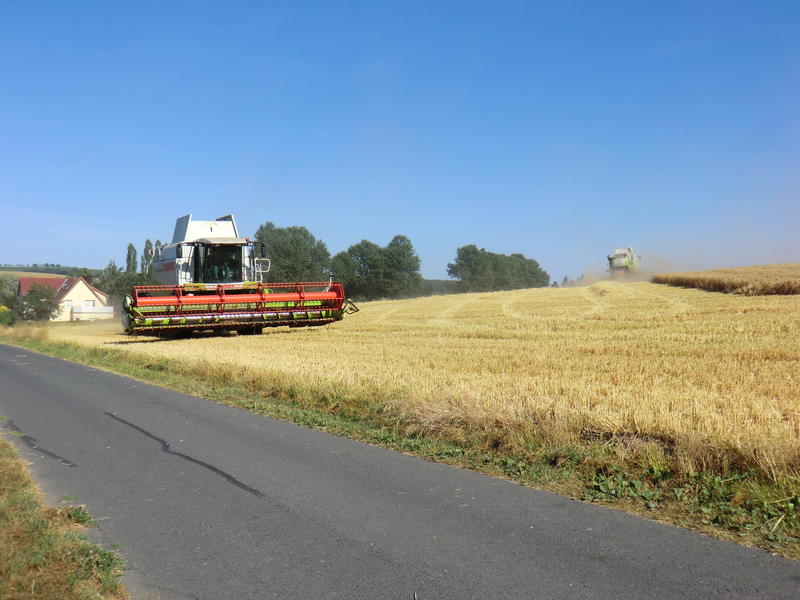 CIMG8450.jpg