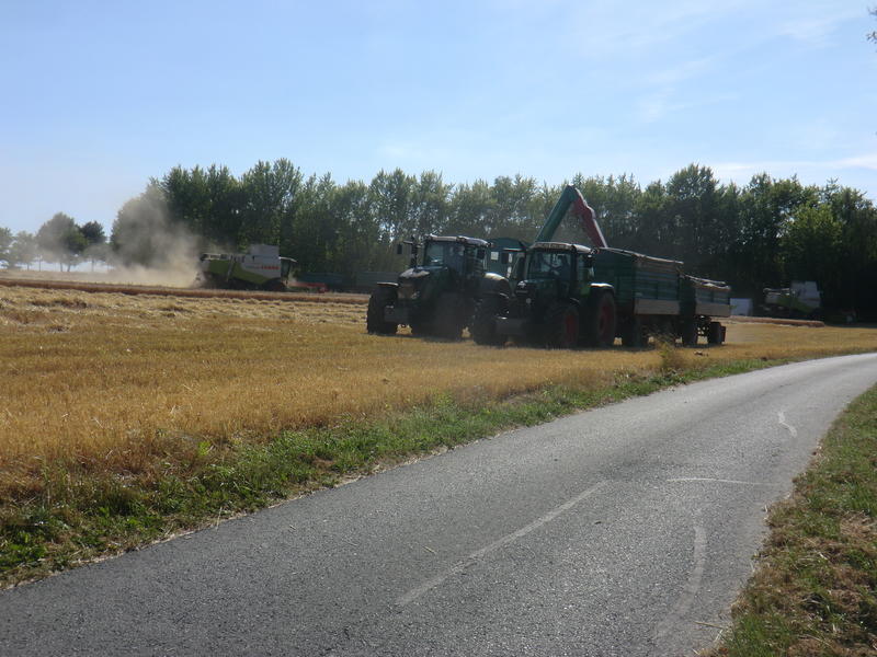 CIMG8451.jpg
