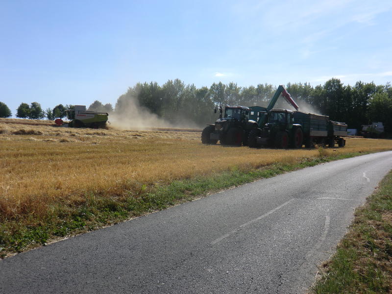 bilder/22_7_2013/CIMG8453.jpg