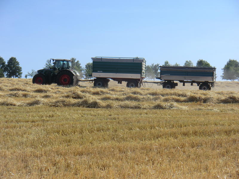 CIMG8462.jpg
