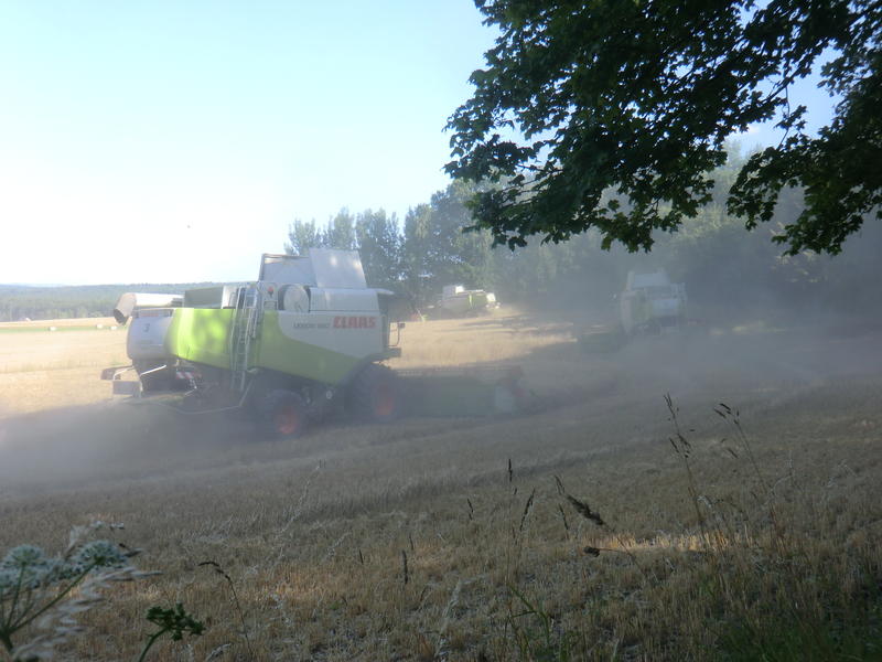 bilder/22_7_2013/CIMG8467.jpg