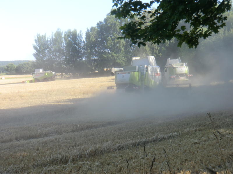 CIMG8468.jpg