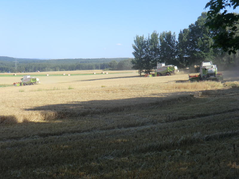 CIMG8469.jpg