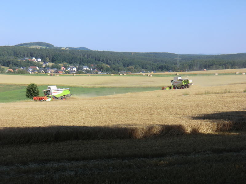 CIMG8470.jpg