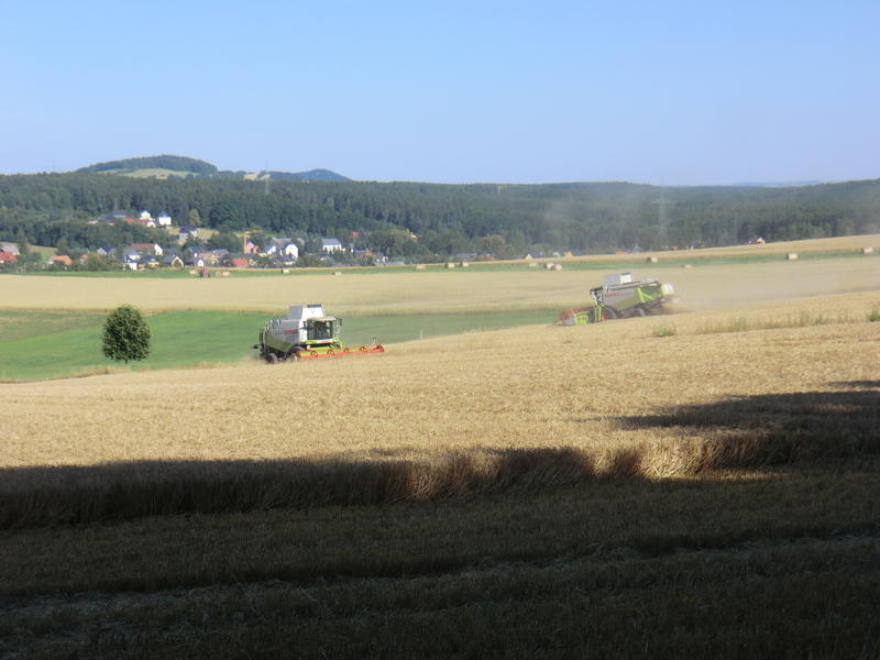 CIMG8471.jpg