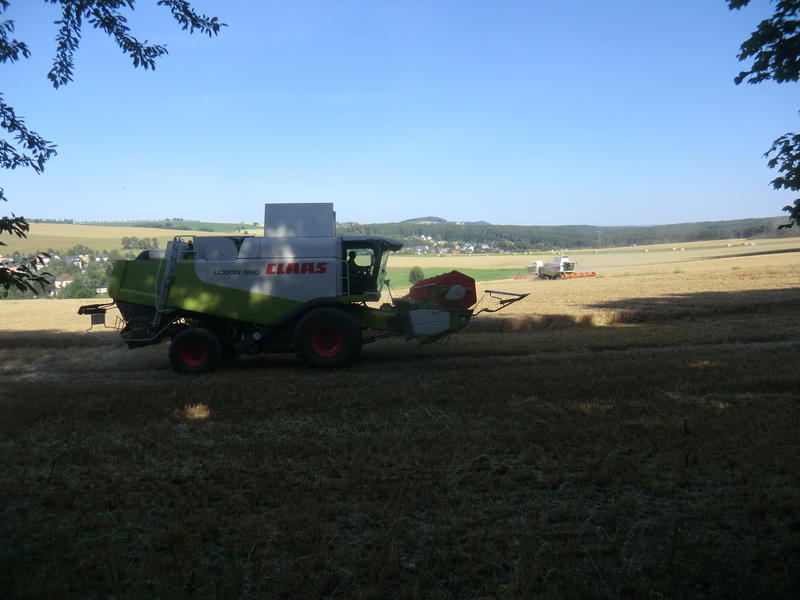 CIMG8472.jpg
