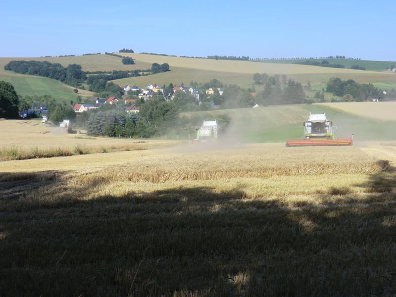 CIMG8475.jpg