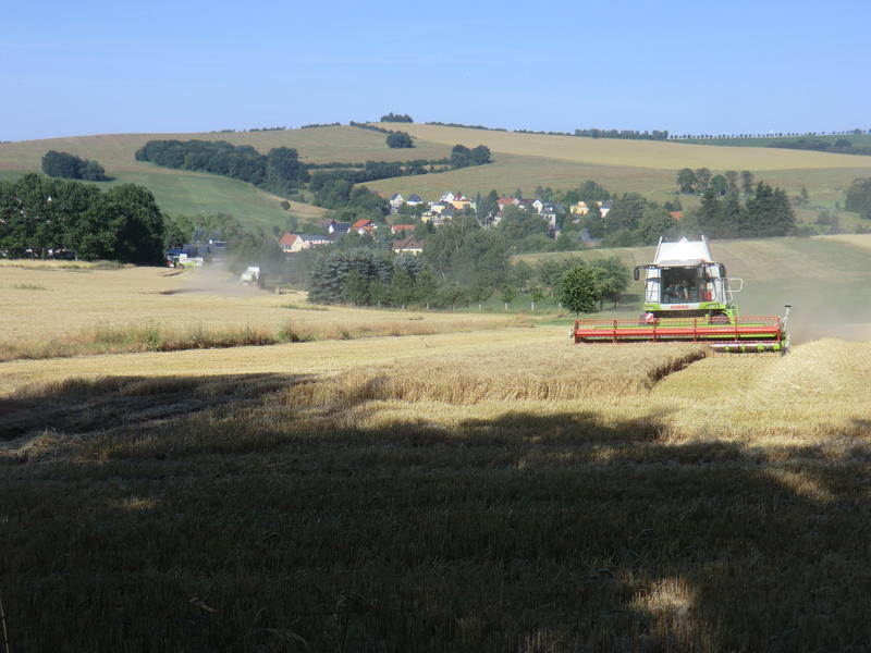 CIMG8479.jpg