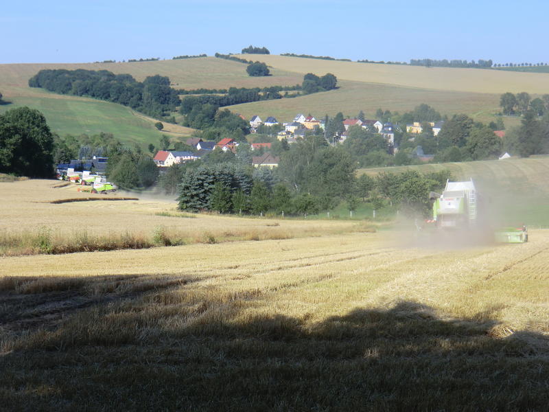 bilder/22_7_2013/CIMG8481.jpg