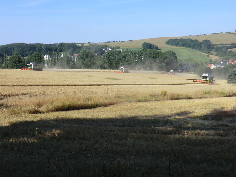 CIMG8484.jpg