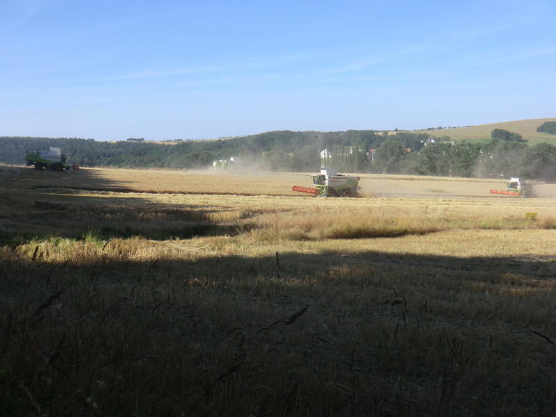 CIMG8491.jpg