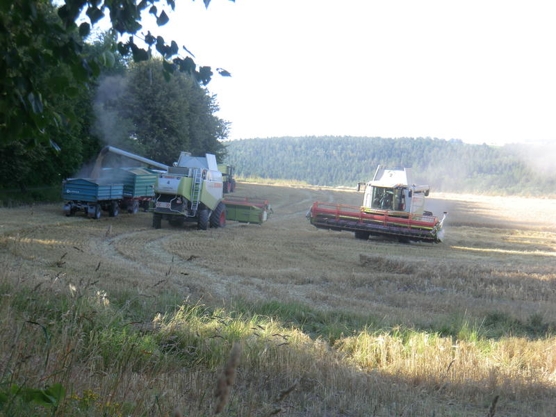 CIMG8494.jpg