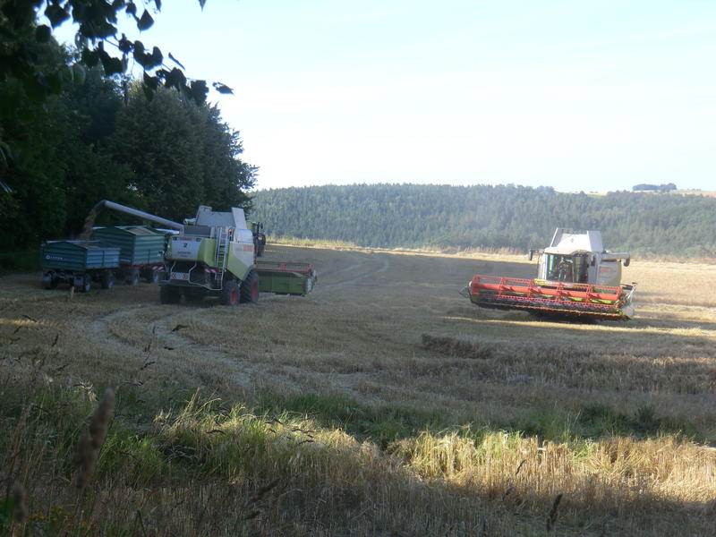 CIMG8496.jpg