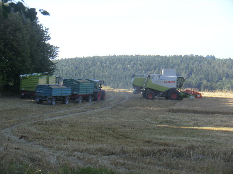 CIMG8498.jpg
