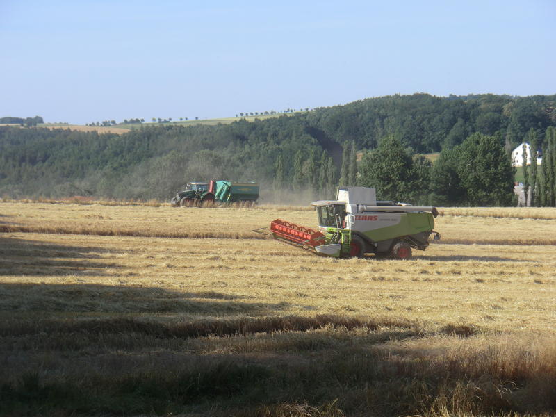 CIMG8505.jpg