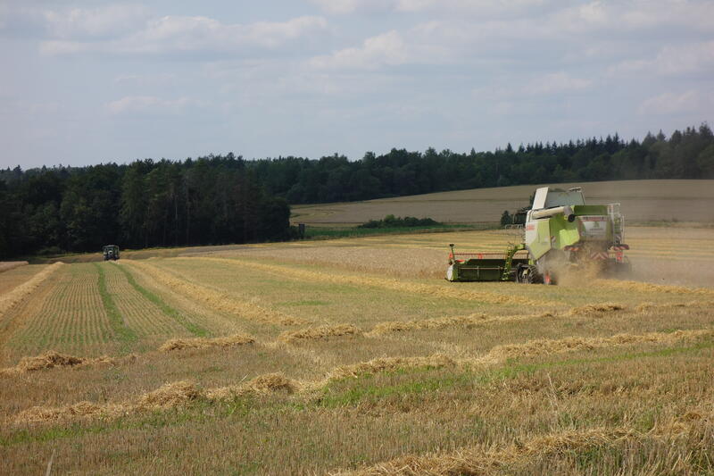bilder/30_7_2003/ranger_zt_303.jpg