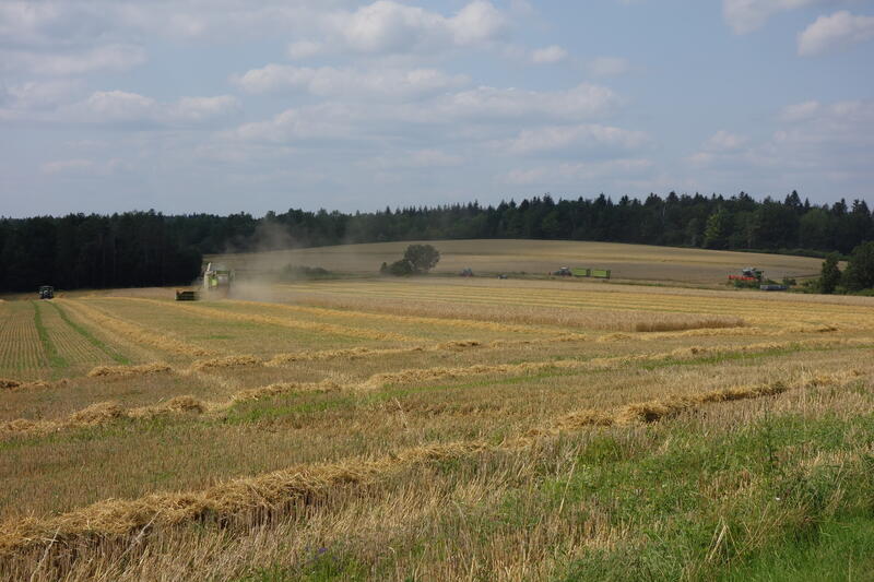DSC01622.jpg
