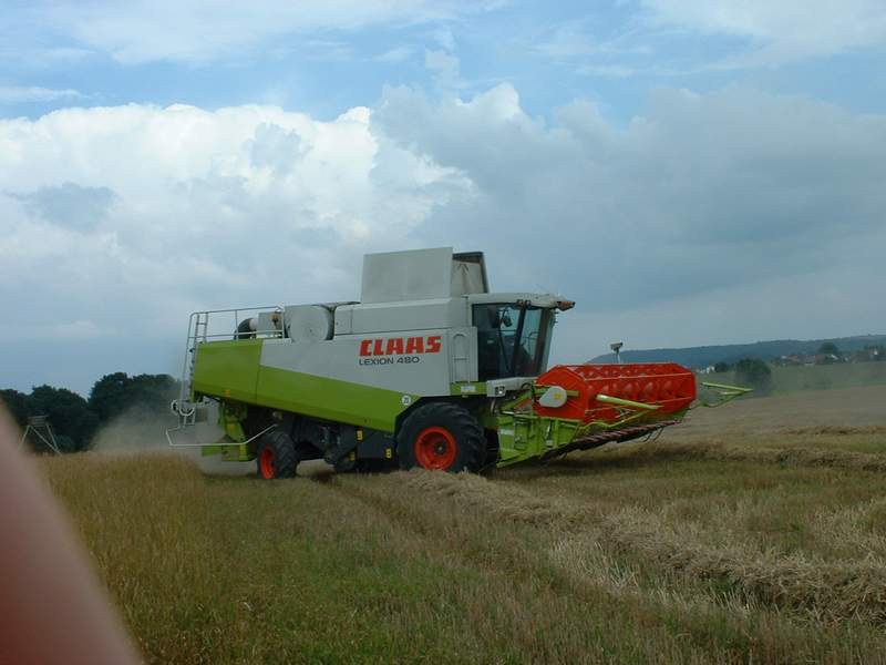 lexion_11.jpg