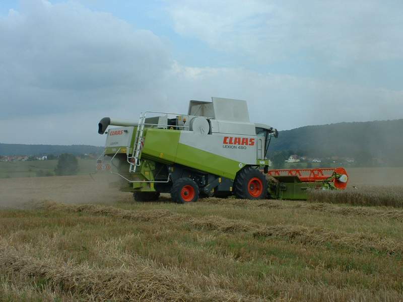 bilder/22_8_2002/lexion_12.jpg