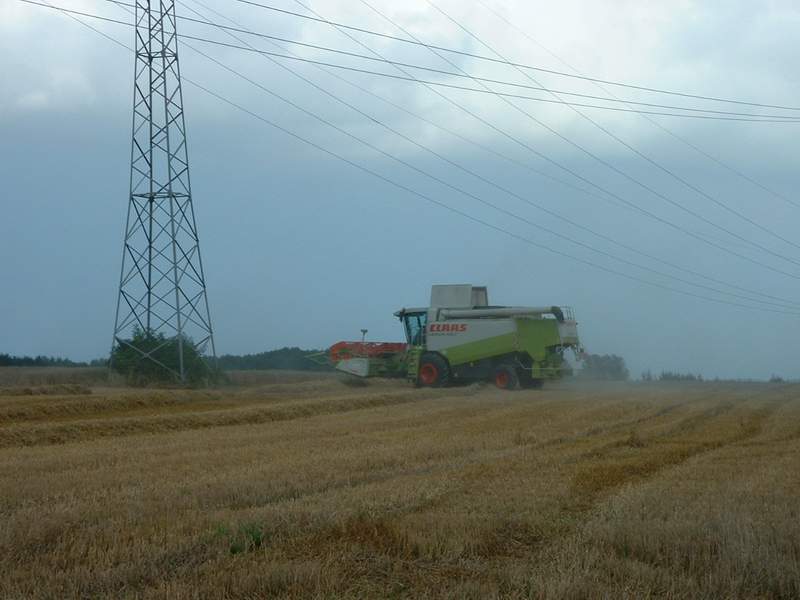 lexion_26.jpg