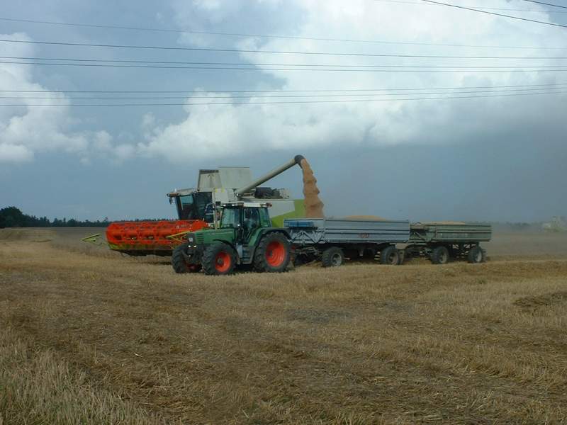 lexion_28.jpg