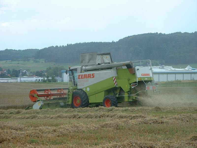 lexion_8.jpg