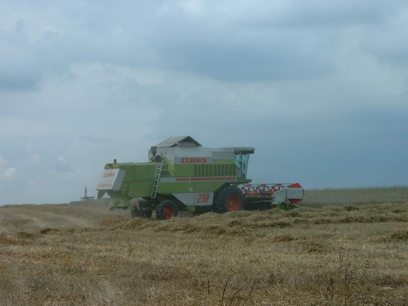 bilder/22_8_2002/mega.jpg