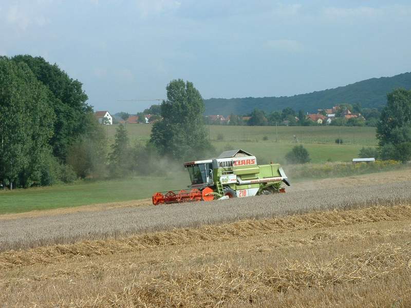 bilder/22_8_2002/mega_2.jpg