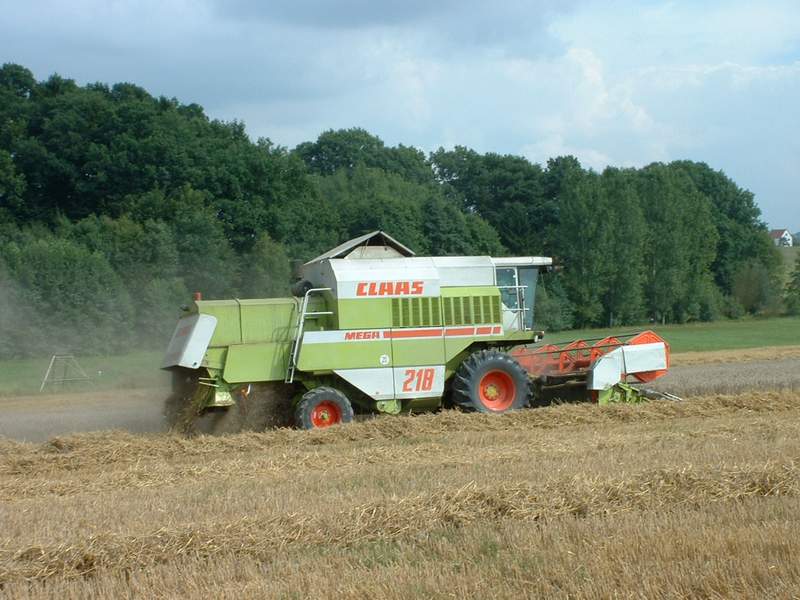 bilder/22_8_2002/mega_5.jpg