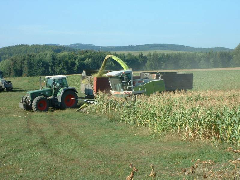 jaguar_2x_fendt.jpg