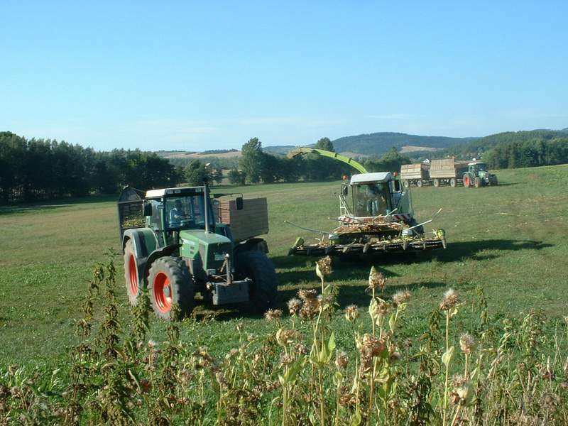 jaguar_2x_fendt_3.jpg