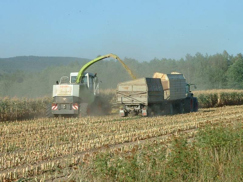 jaguar_fendt_10.jpg