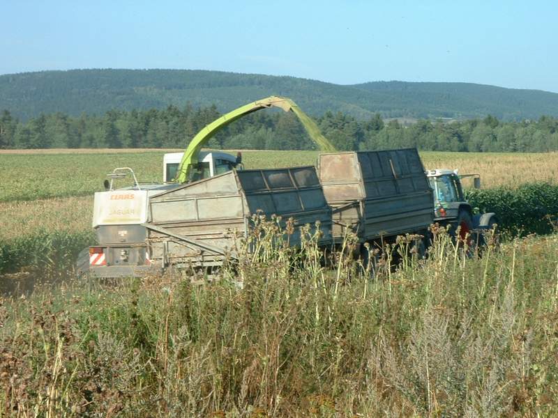 bilder/22_8_2003/jaguar_fendt_6.jpg