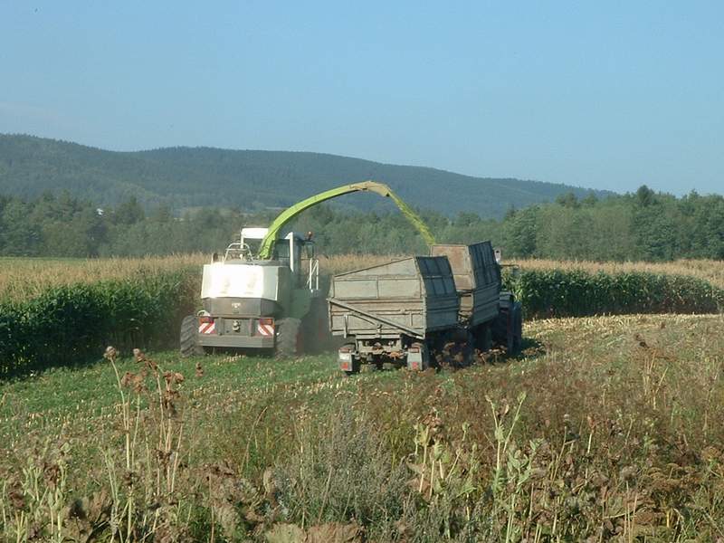 jaguar_fendt_7.jpg