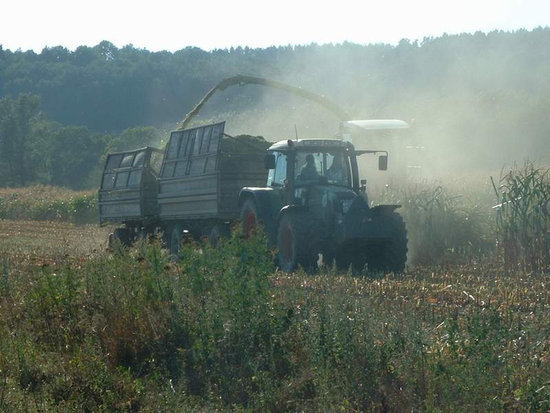 jaguar_fendt_8.jpg