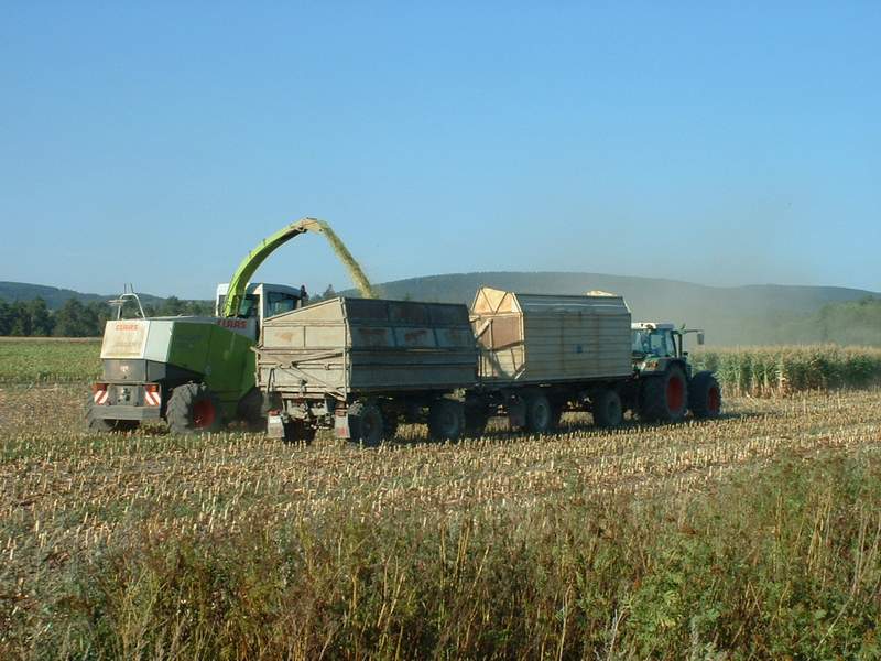 bilder/29_8_2005/lexion_mega.jpg
