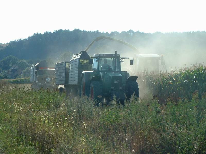 bilder/22_8_2003/jaguar_fendt_w50.jpg