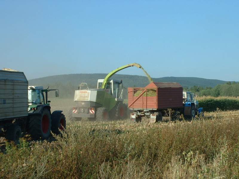 jaguar_fendt_zt_303_2.jpg