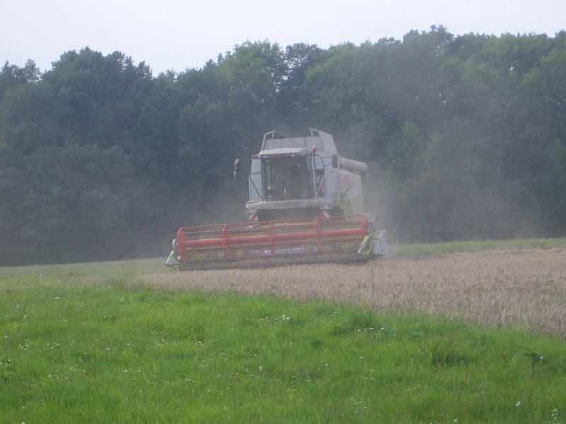 bilder/22_8_2005/lexion_2.jpg